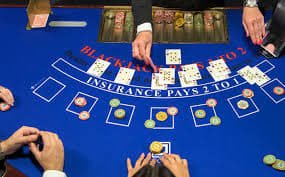 0mtogel user Mobile user and Brand